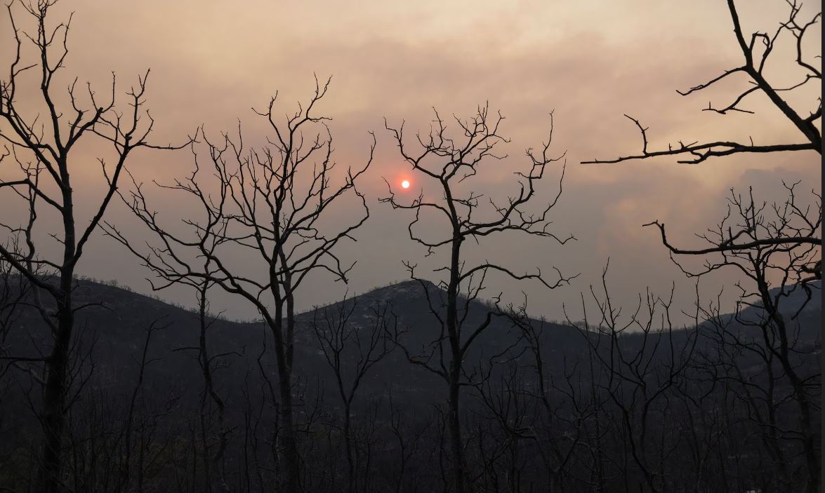 Cháy rừng ở Hy Lạp thiêu rụi diện tích lớn hơn cả thành phố New York