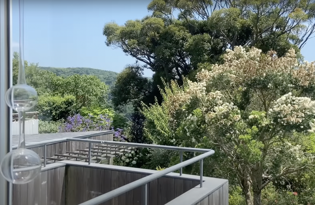 Vợ chồng xây nhà trên đồi, view tuyệt đẹp với khu vườn xanh mướt - Ảnh 11.