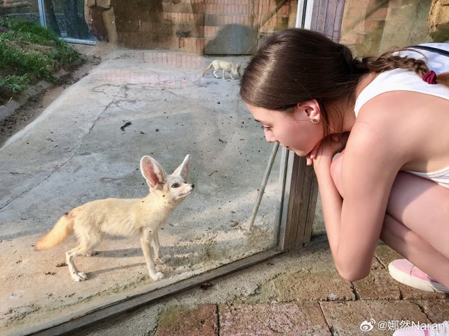 Đ&aacute;t Kỷ 2023 luyện tập điệu m&uacute;a 2 ph&uacute;t trong 2 năm - Ảnh 2.