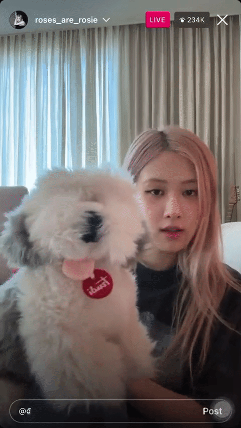 Rosé liên tục có động thái liên quan tới Việt Nam vào đúng dịp quan trọng của BLACKPINK, mang về ngay 6 triệu like - Ảnh 4.