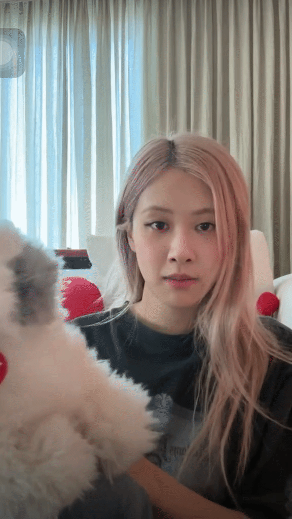 Rosé bị đánh bản quyền vì mở nhạc BLACKPINK, sốc ngang khi nghe tin fan chia tay - Ảnh 2.