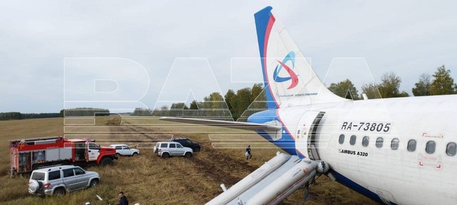Nga: M&aacute;y bay chở kh&aacute;ch hạ c&aacute;nh khẩn cấp giữa c&aacute;nh đồng - Ảnh 6.