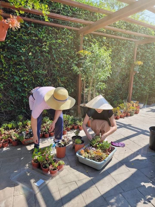 Cơ ngơi của Hà Thanh Xuân ở Mỹ: Rộng 600m2, vườn nhà đủ loại hoa và trái cây ăn không hết - Ảnh 5.