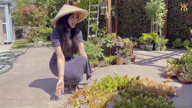 Cơ ngơi của Hà Thanh Xuân ở Mỹ: Rộng 600m2, vườn nhà đủ loại hoa và trái cây ăn không hết - Ảnh 3.
