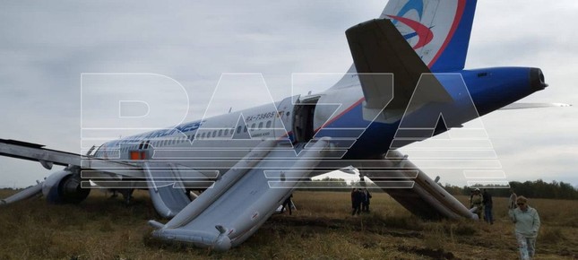 Nga: Máy bay chở khách hạ cánh khẩn cấp giữa cánh đồng - Ảnh 5.