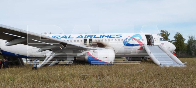 Nga: Máy bay chở khách hạ cánh khẩn cấp giữa cánh đồng - Ảnh 2.