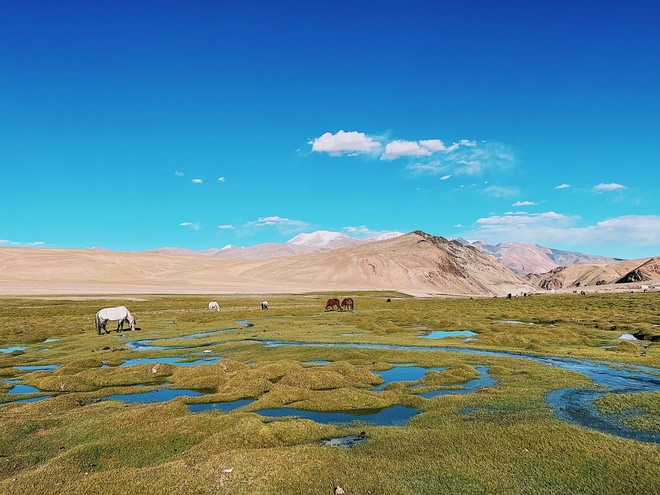 Bước vào thế giới hoang dã của vùng đất tâm linh Ladakh, Ấn Độ - Ảnh 6.