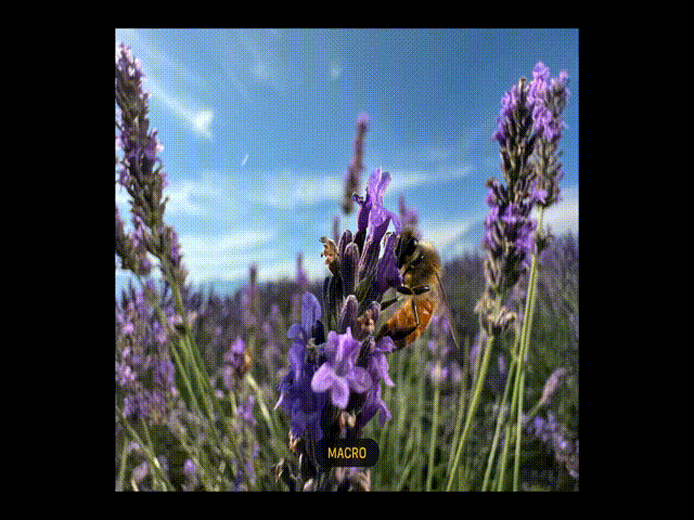 Ch&ecirc;nh lệch 6 triệu, iPhone 15 Plus kh&aacute;c biệt g&igrave; so với iPhone 15 Pro Max - Ảnh 4.