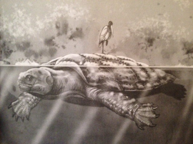 Cứ tưởng ''cụ rùa'' Tây Du Ký là tưởng tượng, hóa rời khỏi ''bản real'' nhiều năm 5m từng sinh sống bên trên Trái đất