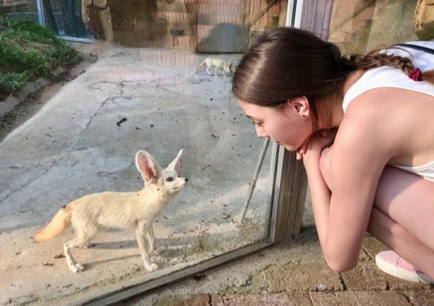 Mỹ nh&acirc;n su&yacute;t đ&oacute;ng Đ&aacute;t Kỷ ở bom tấn 9000 tỷ, đẹp h&agrave;ng đầu showbiz nhưng diễn đơ k&eacute;m xa đ&agrave;n em lai T&acirc;y? - Ảnh 5.