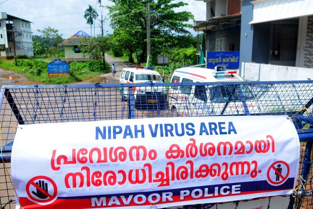 Ấn Độ trong cuộc đua ngăn chặn dịch bệnh do virus Nipah gây thương tổn não