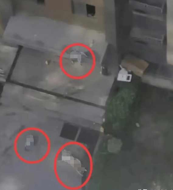 Vụ 3 mẹ con rơi từ tòa nhà chung cư ở Trung Quốc: Một trẻ sống sót, nghi người mẹ ôm con tự vẫn - Ảnh 2.