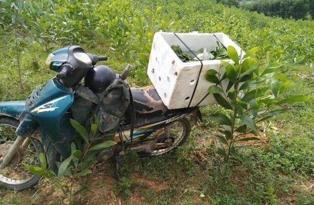 V&agrave;o rừng đ&agrave;o tổ ong, nam thanh ni&ecirc;n mất t&iacute;ch b&iacute; ẩn - Ảnh 2.