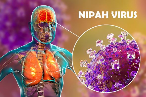 Virus Nipah bùng phát: Tỷ lệ tử vong cao gấp 20 lần Covid-19, WHO cảnh báo có thể gây ra đại dịch tiếp theo