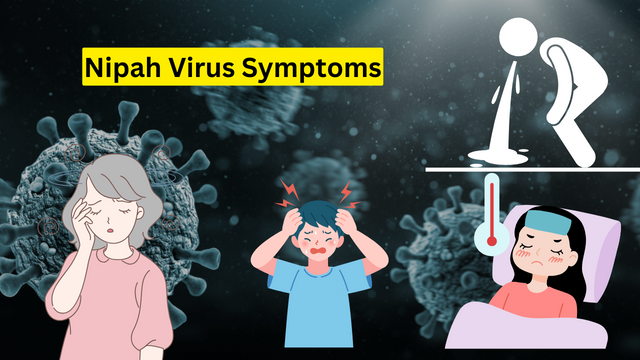 Virus Nipah bùng phát: Tỷ lệ tử vong cao gấp 20 lần Covid-19, WHO cảnh báo có thể gây ra đại dịch tiếp theo