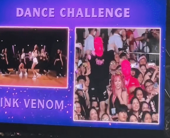 Màn dance challenge trong concert của BLACKPINK tại Hàn bị dân mạng chê kém cuồng nhiệt, thua xa Việt Nam - Ảnh 8.