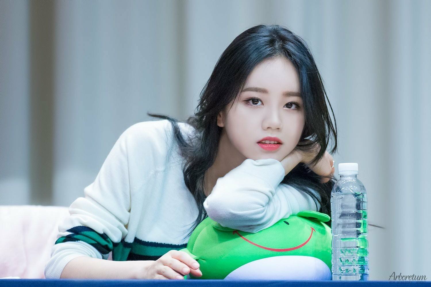 Nữ diễn viên bắt hãng hàng không Mỹ phải xin lỗi là ai?