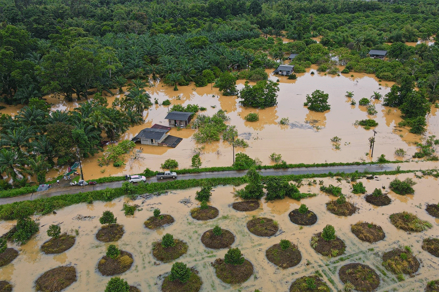 Nhiều khu vực ở Thái Lan phải sơ tán dân khẩn cấp do mưa lũ - Ảnh 3.