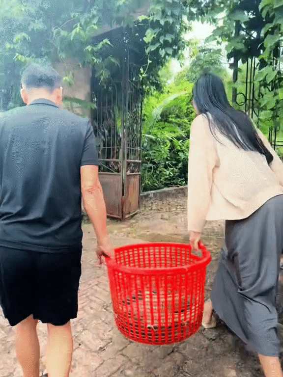 Bùi Khánh Linh ở phố chuẩn dáng Á hậu, về quê để mặt mộc xắn tay áo rửa bát như ai - Ảnh 2.