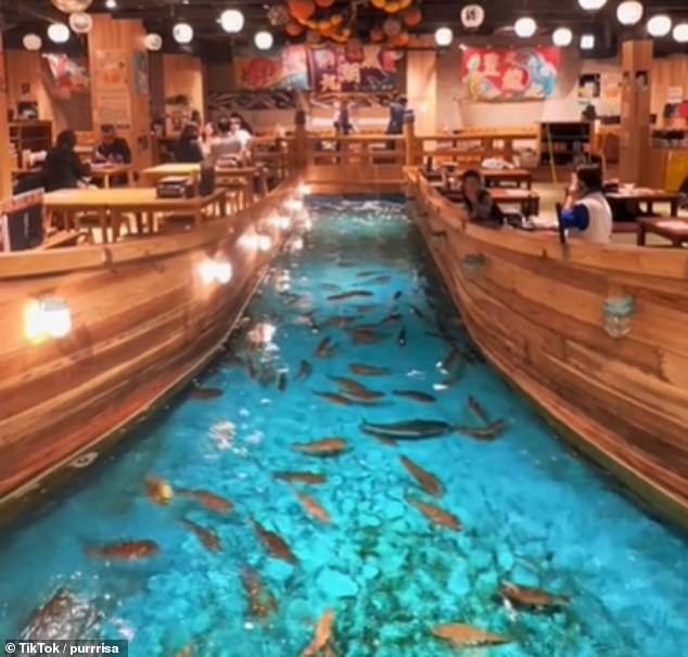 Nhà hàng Nhật Bản hút khách nhờ chiêu 'độc': Cho khách đánh bắt tôm cá lên ăn tại bàn