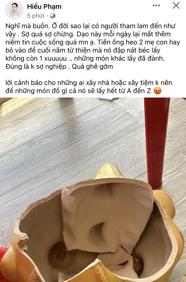 Vợ Hồ Tấn Tài buồn chán, mất niềm tin khi bị mất tiền - Ảnh 1.