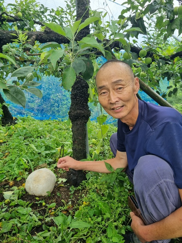 Lão nông 'đổi đời' nhờ phát hiện vật thể giống tảng đá kỳ quái, giá gần 1 tỷ đồng/kg