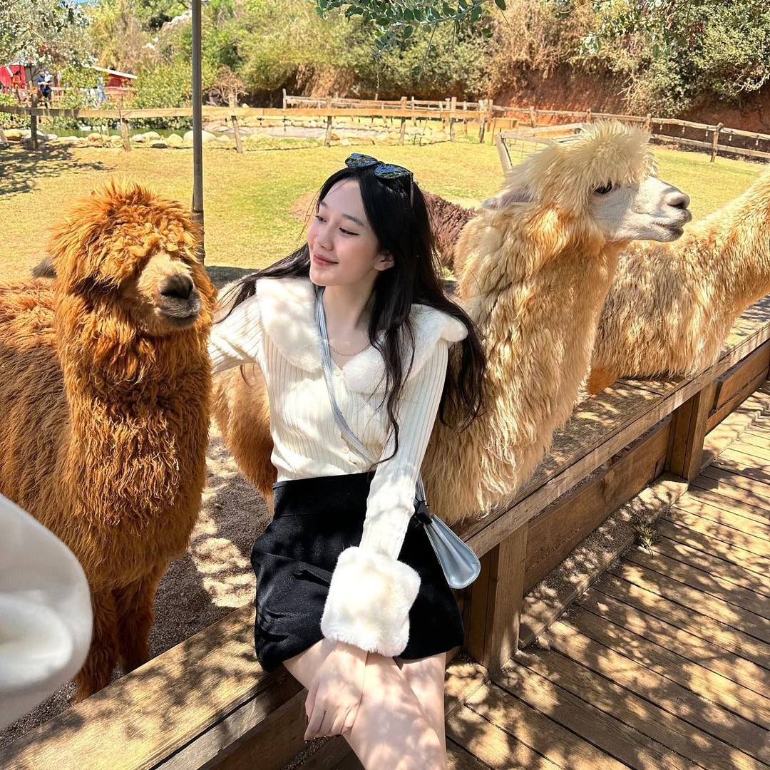 Chika Farm Đà Lạt bất ngờ thông báo đóng cửa dù đang đông khách, khiến dân tình vô cùng hoang mang