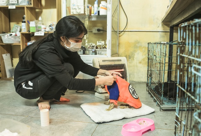 Đến thăm trạm cứu hộ chó mèo của các bạn sinh viên ở Hà Nội: Các bé được nhận về đây đều trong tình trạng hoảng loạn - Ảnh 8.