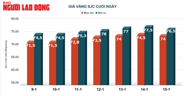 Giá vàng hôm nay, 16-1: Biến động không đáng kể - Ảnh 2.