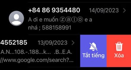 C&aacute;ch chặn tin nhắn r&aacute;c, tin nhắn lừa đảo tr&ecirc;n iPhone - Ảnh 3.
