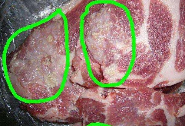 Đi chợ Tết đừng mua thịt, nội tạng động vật có dấu hiệu này vì dễ mua phải hàng đông lạnh ôi thiu, chứa ổ vi khuẩn đáng sợ - Ảnh 5.