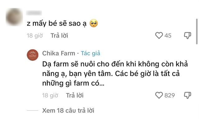 Chika Farm tiết lộ số phận vườn thú sau khi đóng cửa, nhiều dân mạng vẫn hi vọng sẽ mở trở lại - Ảnh 2.