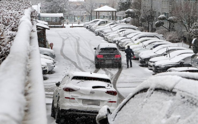 Hàn Quốc ban bố tình trạng khẩn cấp do tuyết rơi dày - Ảnh 2.