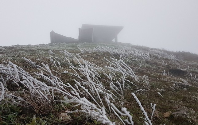 Lung linh băng tuyết tại đỉnh cao Phia Oắc - Cao Bằng - Ảnh 5.