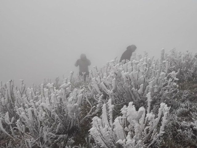Băng tuyết phủ trắng đỉnh Mẫu Sơn, du khách kéo lên ngắm - Ảnh 6.