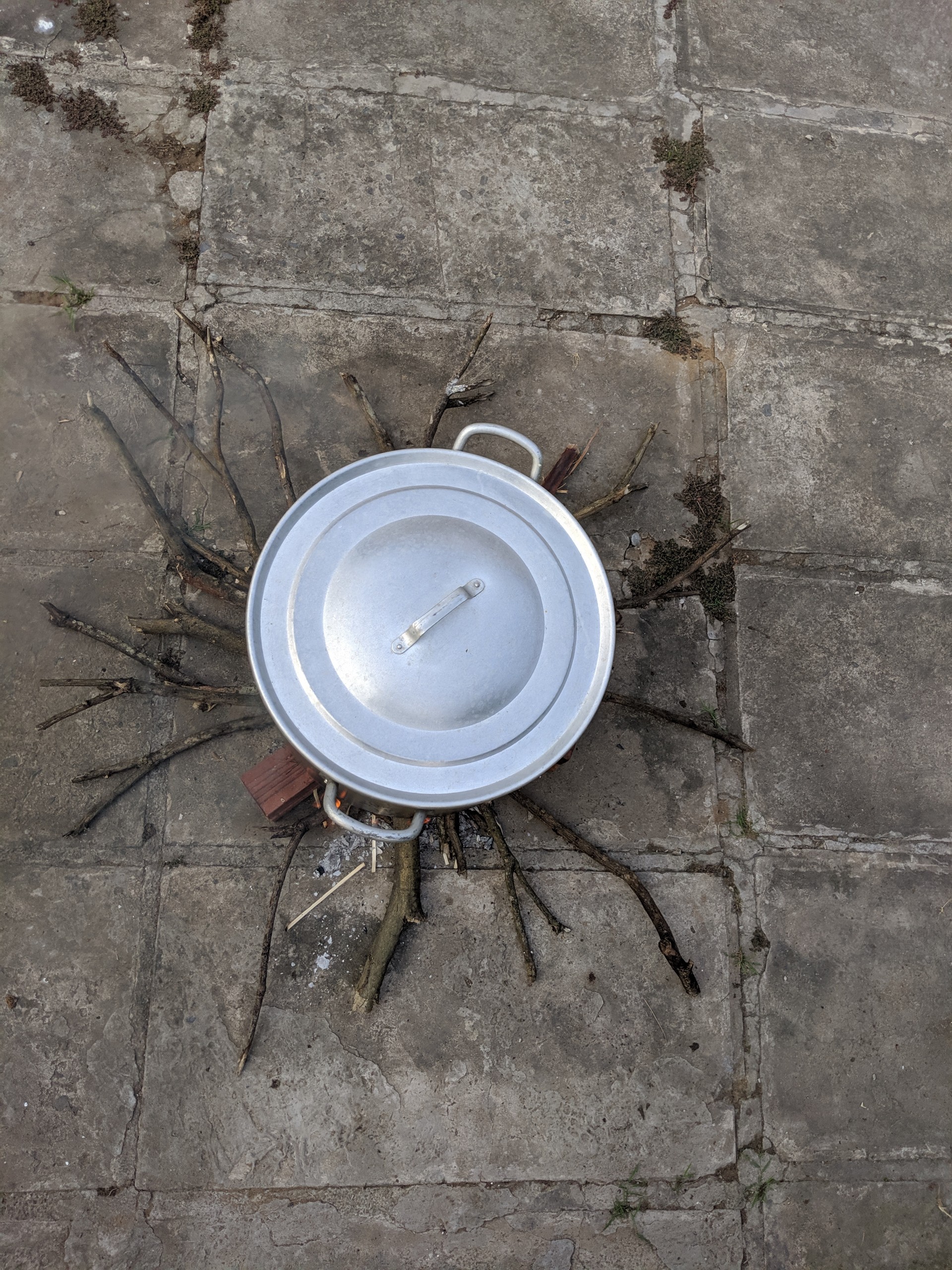 View - 9X Bình Dương đánh liều lấy cá trắm làm nhân gói bánh chưng và nhận cái kết bất ngờ