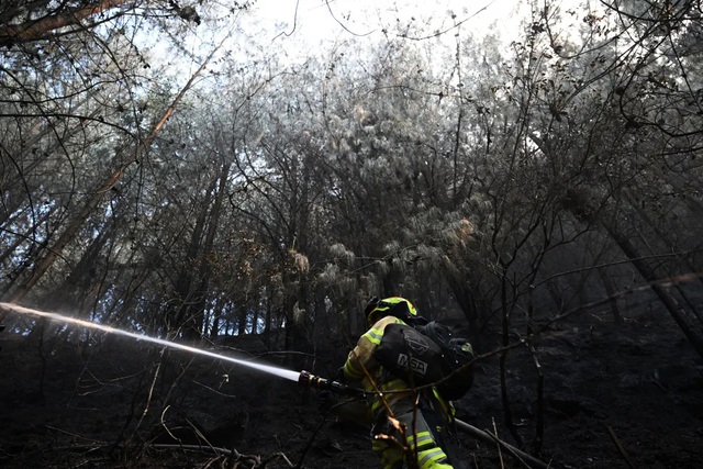 Cháy rừng nghiêm trọng tại Columbia - Ảnh 1.