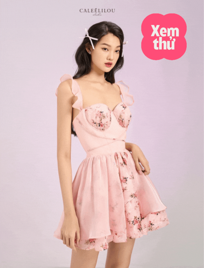 Váy Bánh Bèo Tiểu Thư Sang Chảnh giá rẻ Tháng 3,2024|BigGo Việt Nam