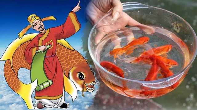 Cá cúng Ông Công Ông Táo có cần phải là cá thật? Dùng cá giả có sao không? Chuyên gia đưa ra câu trả lời - Ảnh 2.