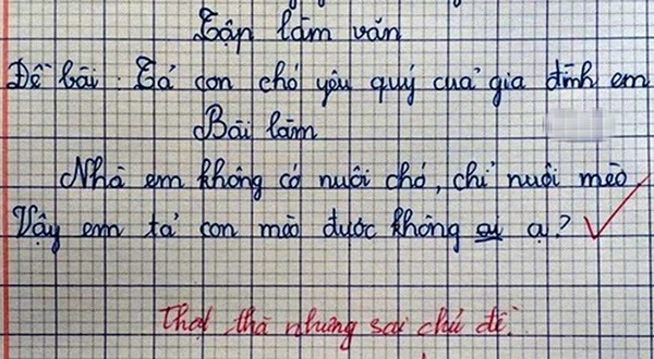 Điền phiếu thông tin giới thiệu bản thân, cậu nhóc lớp 1 khiến mẹ cười chảy nước mắt: Lười học nhưng rất thật thà! - Ảnh 3.