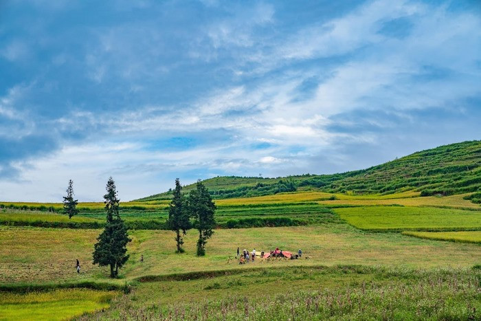 Phát hiện thêm một "Thụy Sỹ thu nhỏ" cách Hà Nội chỉ 400km: Mê mẩn cảnh thảo nguyên xanh bạt ngàn hoa cỏ, du khách đi chẳng muốn về- Ảnh 3.