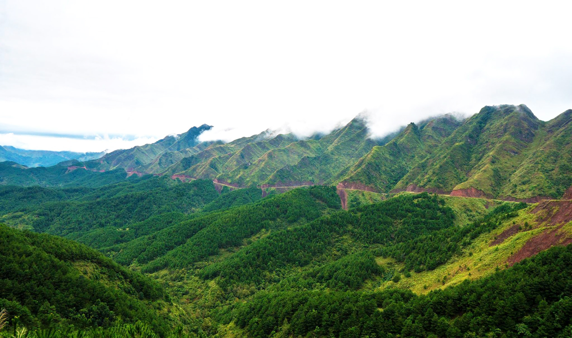 Ngoài biển, Quảng Ninh còn có một vùng núi hoang sơ được ví như "Sa Pa thu nhỏ", cách Hạ Long hơn 100km- Ảnh 1.