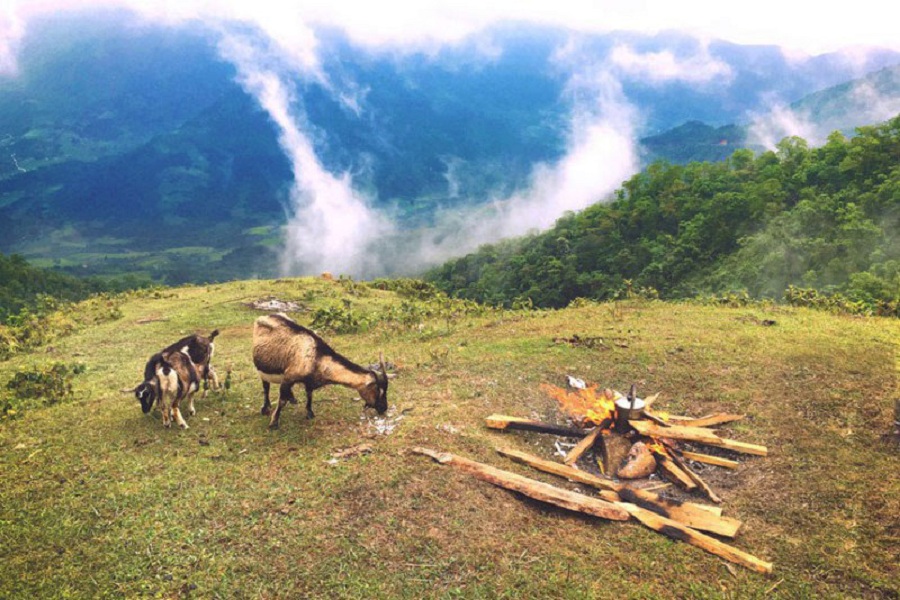 Ngoài biển, Quảng Ninh còn có một vùng núi hoang sơ được ví như "Sa Pa thu nhỏ", cách Hạ Long hơn 100km- Ảnh 6.