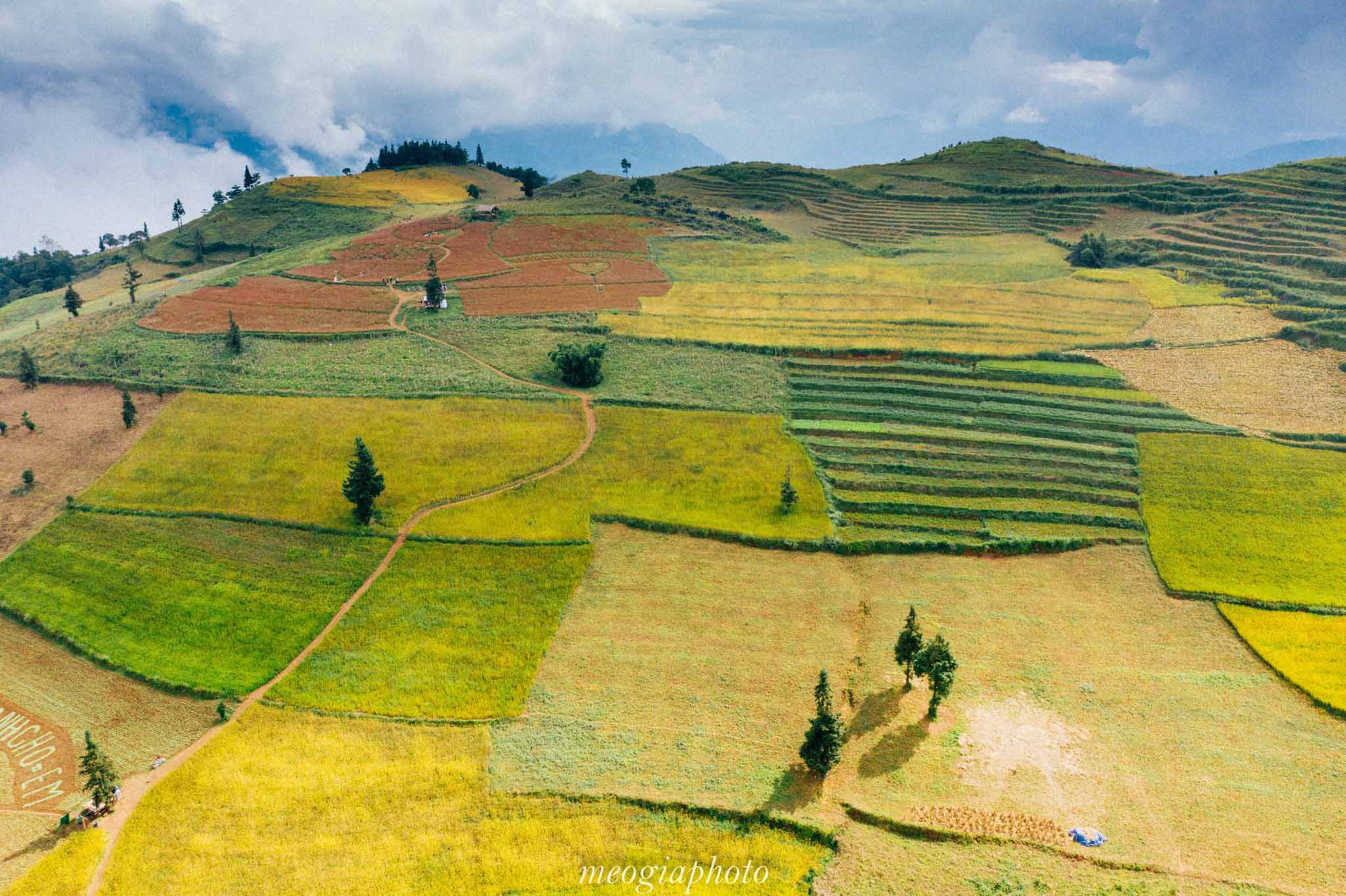 Phát hiện thêm một "Thụy Sỹ thu nhỏ" cách Hà Nội chỉ 400km: Mê mẩn cảnh thảo nguyên xanh bạt ngàn hoa cỏ, du khách đi chẳng muốn về- Ảnh 2.