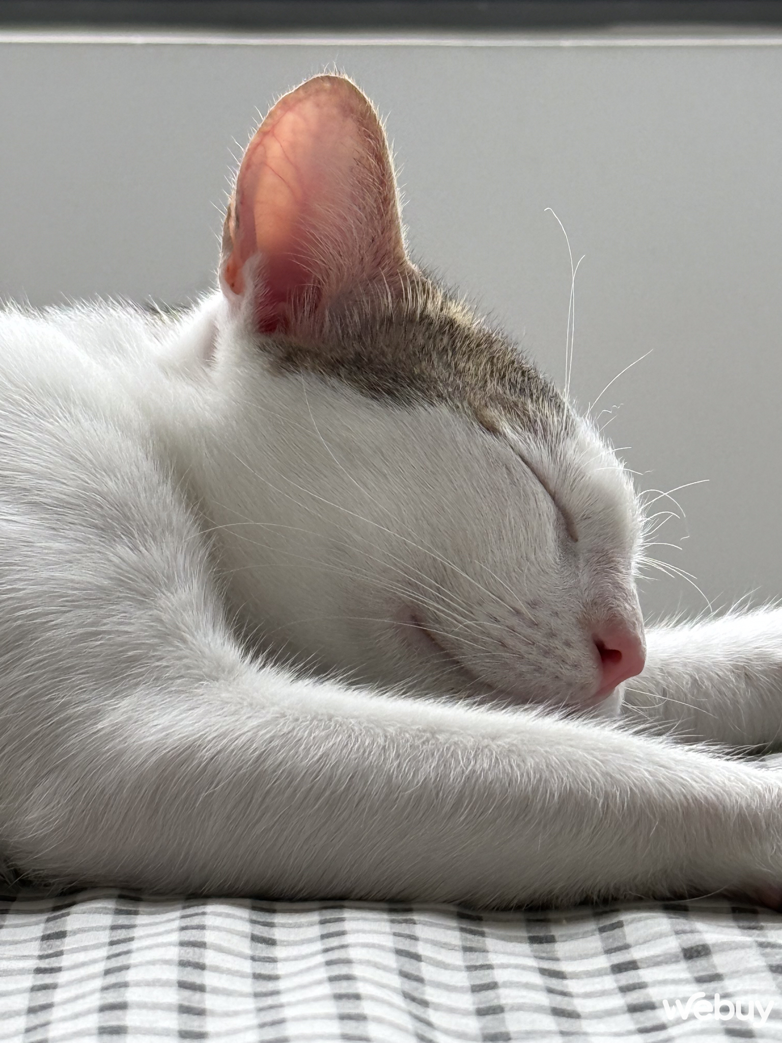 "Camera iPhone 16 Pro Max chẳng kh&aacute;c đời trước", thực tế sử dụng ra sao?- Ảnh 22.