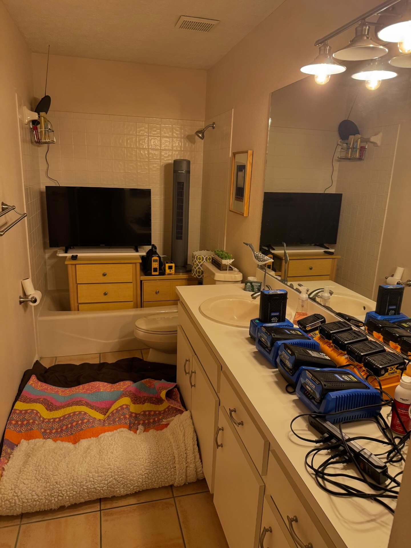 5 triệu người v&agrave;o xem nơi trốn si&ecirc;u b&atilde;o &ldquo;qu&aacute;i vật&rdquo; Milton, giật m&igrave;nh khuy&ecirc;n chủ nh&agrave;: &Ocirc;i l&agrave;m ơn, chạy ngay đi- Ảnh 5.