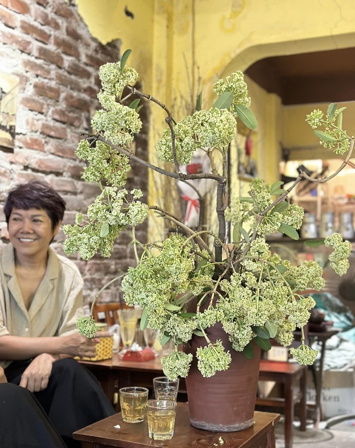 Thử cắm hoa sữa ở văn phòng, cô gái Hà Nội khiến đồng nghiệp 'sang chấn tâm lý'- Ảnh 6.