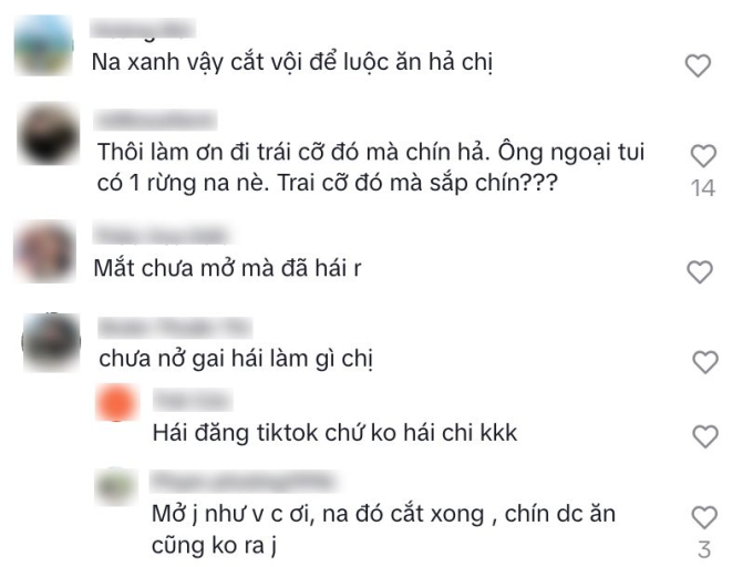 Bảo Thy hái na cùng chồng thôi cũng bị dân mạng bắt bẻ: "Na xanh vậy cắt vội để luộc ăn hả chị?"- Ảnh 2.
