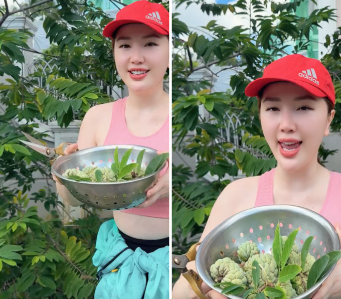 Bảo Thy hái na cùng chồng thôi cũng bị dân mạng bắt bẻ: "Na xanh vậy cắt vội để luộc ăn hả chị?"- Ảnh 1.