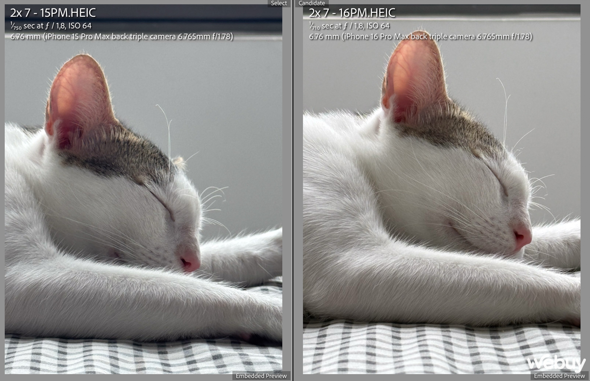 "Camera iPhone 16 Pro Max chẳng kh&aacute;c đời trước", thực tế sử dụng ra sao?- Ảnh 9.